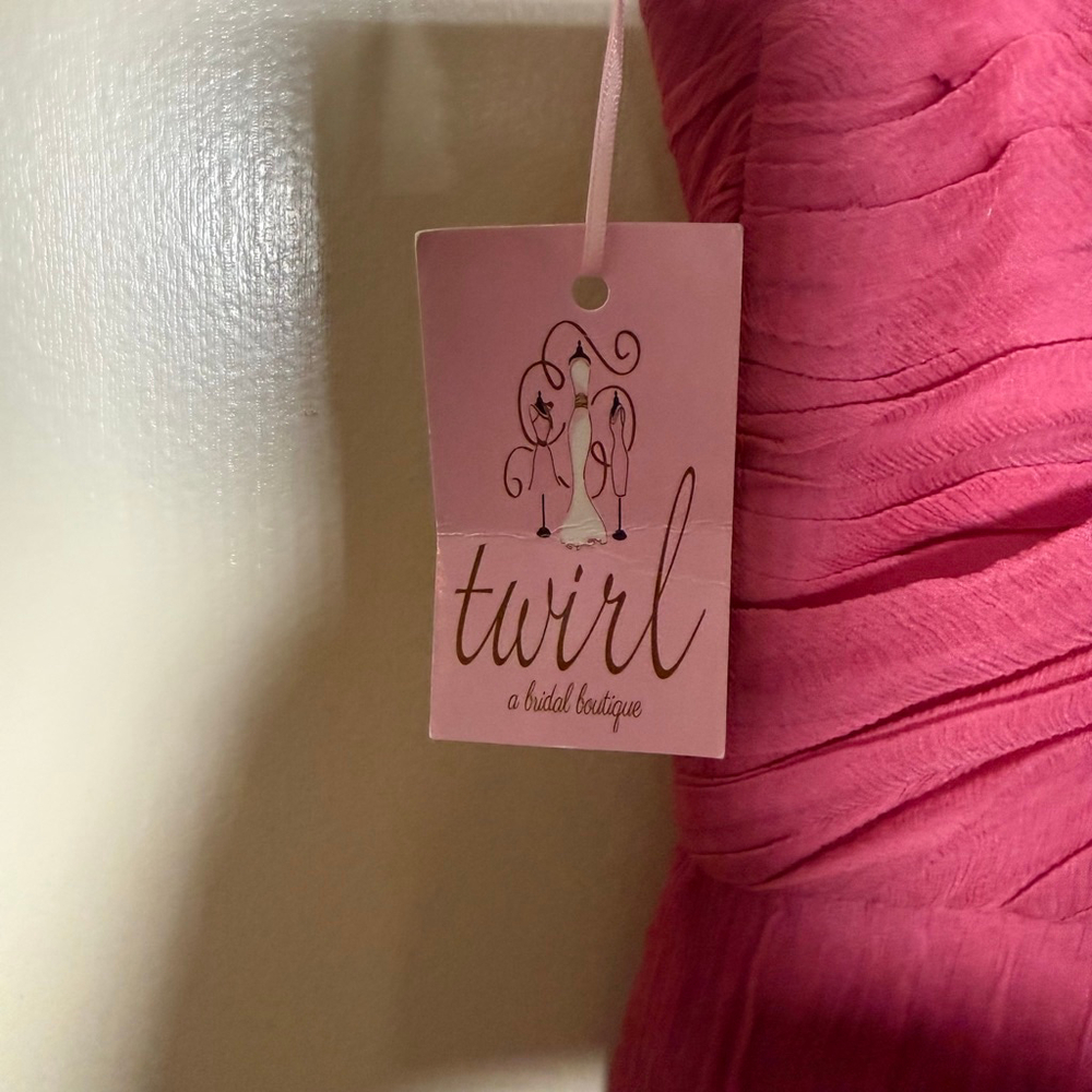 NWT AMSALE ~ Rhubarb Chiffon Crinkle Silk Sweetheart Formal Dress 8 $270 - Picture 7 of 9